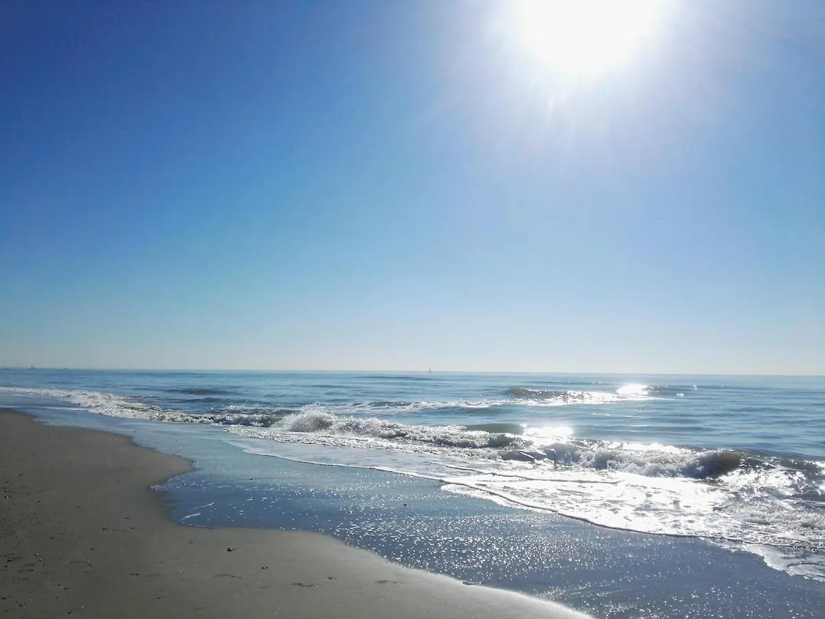 Nuvola Verde Lido di Ostia Appartamento